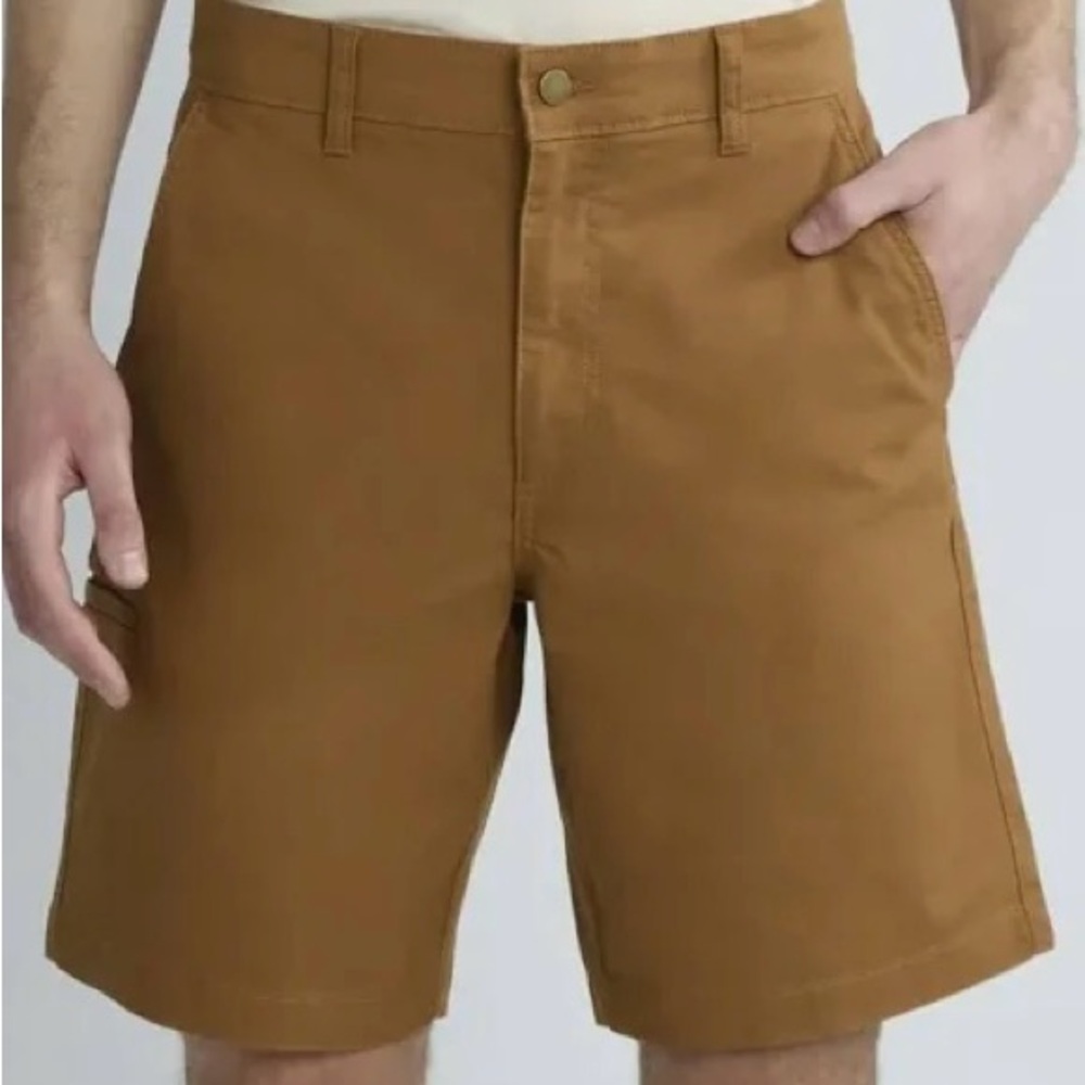 Brahma Men's Brown Flat Front Shorts